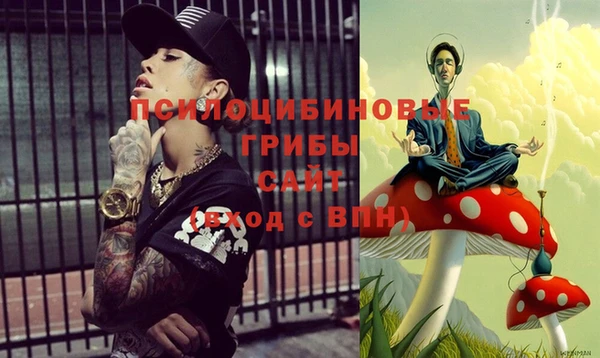 экстази Абаза