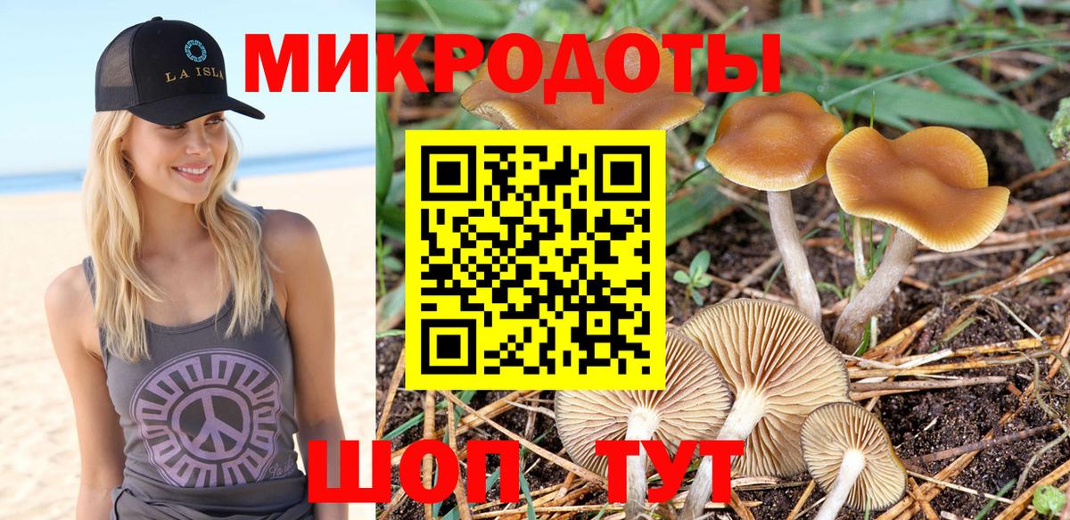 Псилоцибиновые грибы Cubensis Батайск