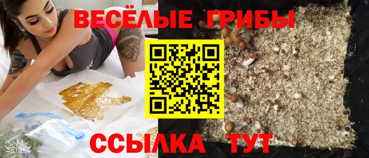 Галлюциногенные грибы мицелий  Вход с VPN  Батайск 